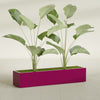 Cuba Extra Large Long Rectangle Fiberglass Planter - 60 in x 14 in x 12 in - Gloss Eggplant - Gloss Eggplant,60 in x 14 in x 12 in