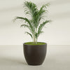 Wannsee Large Round Fiberglass Planter - 39 in x 39 in x 34 in - Matte Brown - Matte Brown,39 in x 39 in x 34 in