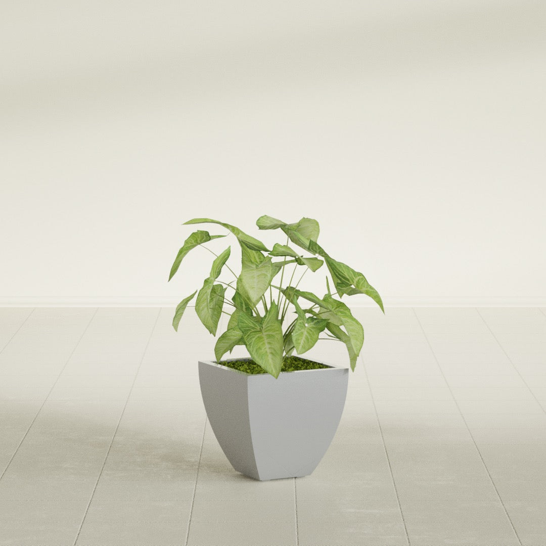 Lima Small Tapered Square Fiberglass Planter - 12 in x 12 in x 12 in - Metallic Silver - Metallic Silver,12 in x 12 in x 12 in