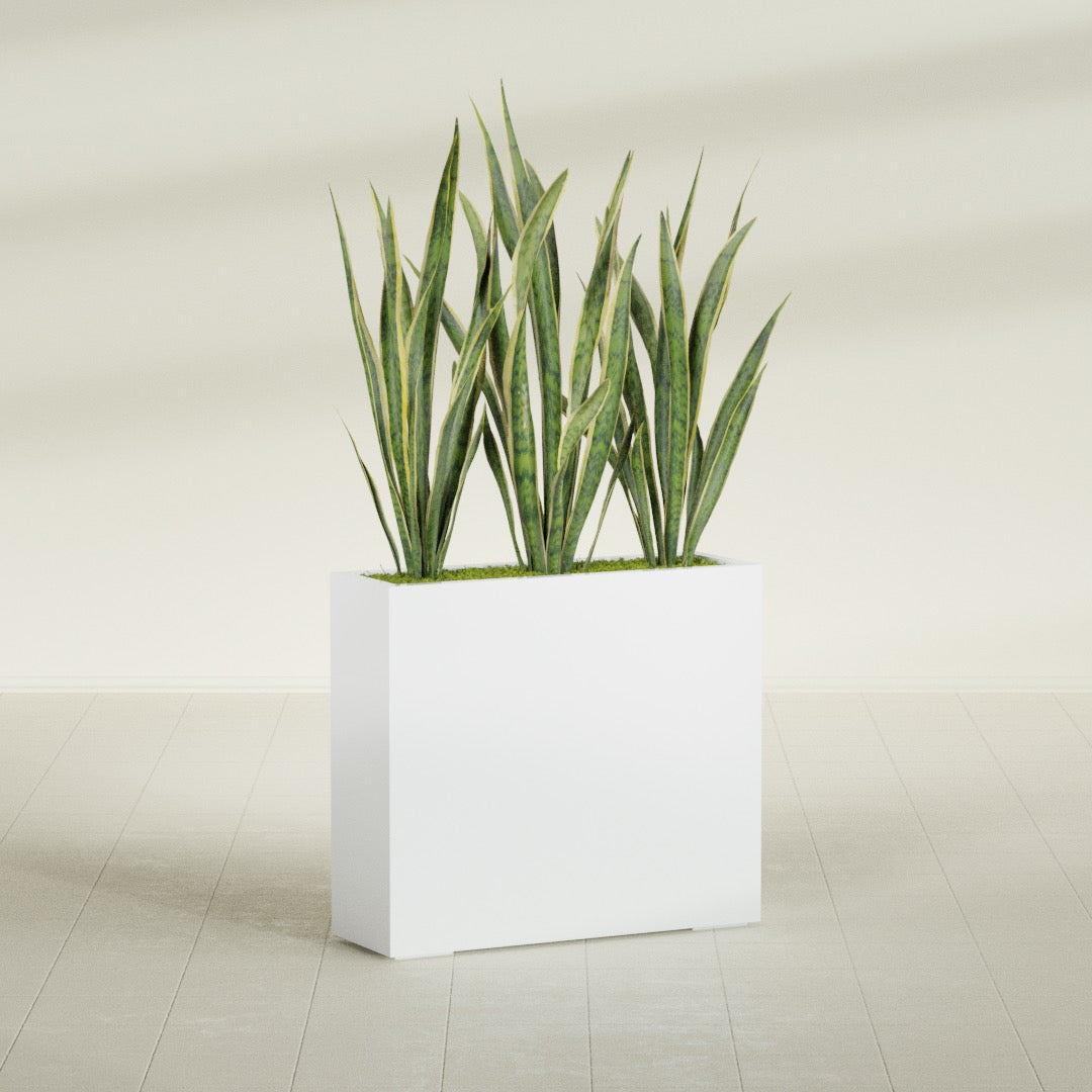 Delray Large Tall Rectangle Fiberglass Planter - 36 in x 12 in x 32 in - Matte White - Matte White,36 in x 12 in x 32 in
