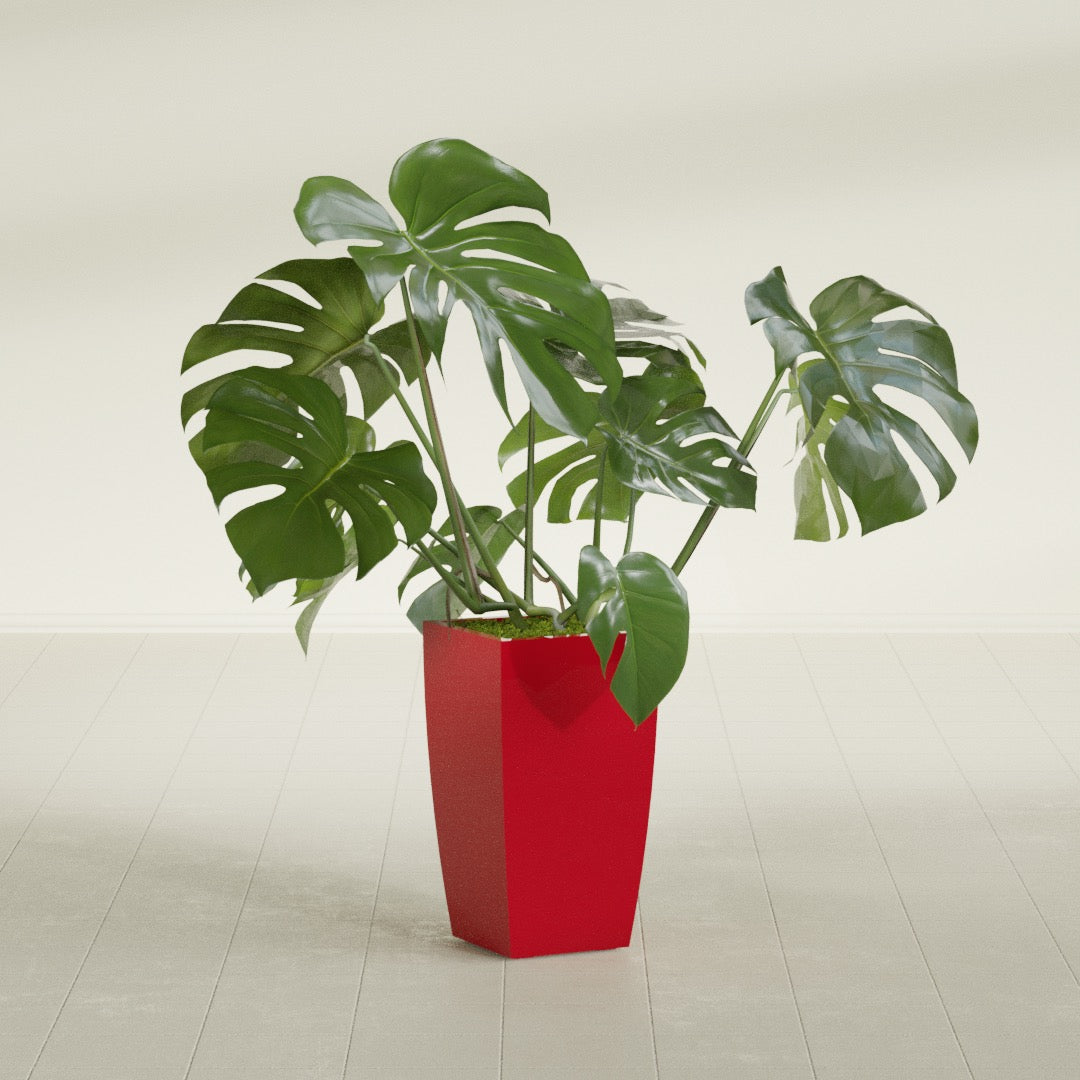 Toulan Medium Tall Tapered Square Fiberglass Planter - 12 in x 12 in x 22 in - Gloss Red - Gloss Red,12 in x 12 in x 22 in