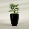 Brannan Large Round Fiberglass Planter - 30 in x 30 in x 41 in - Gloss Black - Gloss Black,30 in x 30 in x 41 in