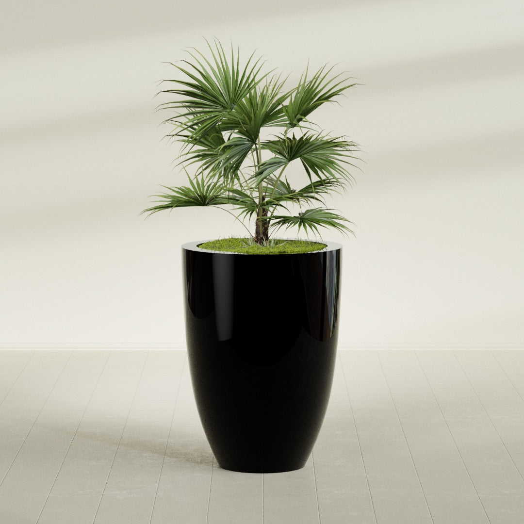 Brannan Large Round Fiberglass Planter - 30 in x 30 in x 41 in - Gloss Black - Gloss Black,30 in x 30 in x 41 in