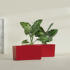 Panama Large Long Rectangle Fiberglass Planter - 36 in x 12 in x 18 in - Gloss Red - Gloss Red,36 in x 12 in x 18 in