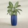Lisbon Large Round Fiberglass Planter - 18 in x 18 in x 32 in - Matte Cobalt Blue - Matte Cobalt Blue,18 in x 18 in x 32 in