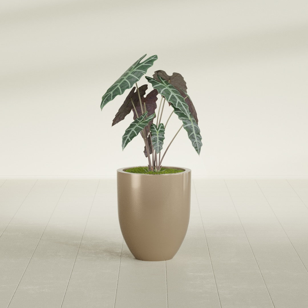 Valencia Small Round Fiberglass Planter - 15 in x 15 in x 18 in - Metallic Gold - Metallic Gold,15 in x 15 in x 18 in