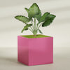 Montroy Extra Large Cube Square Fiberglass Planter - 60 in x 60 in x 60 in - Gloss Pink Violet - Gloss Pink Violet,60 in x 60 in x 60 in