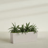 Tapered Rectangle - 48in x 12in x 18in - StoneLight - Pearlstone - StoneLight - Pearlstone,48 in x 12 in x 18 in