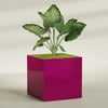 Montroy Extra Large Cube Square Fiberglass Planter - 60 in x 60 in x 60 in - Gloss Eggplant - Gloss Eggplant,60 in x 60 in x 60 in