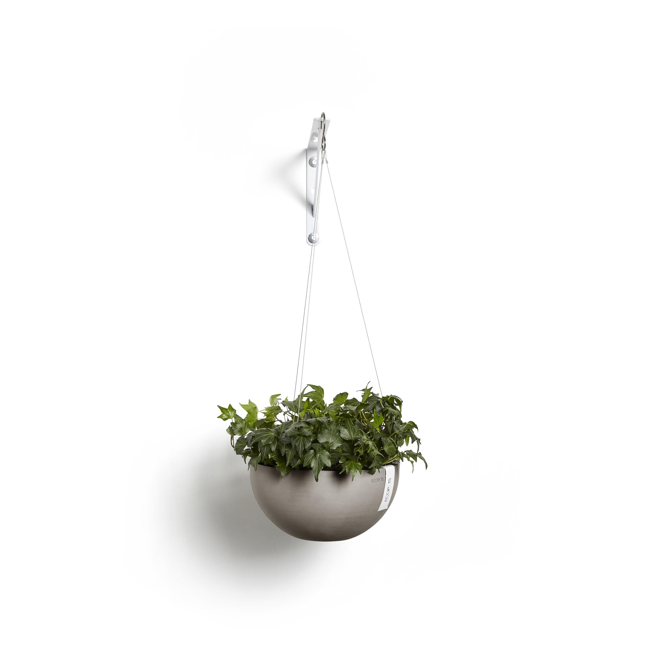 Hanging Brussels Small Bowl Planter - 13 in x 13 in x 6.5 in - Taupe - Taupe,13 in x 13 in x 6.5 in