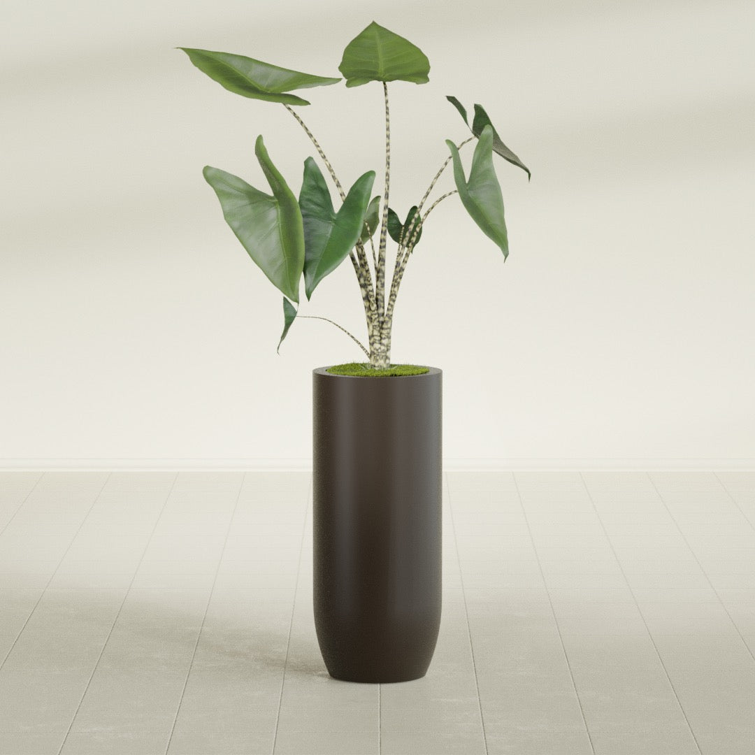 Saint Tropez Large Tall Round Fiberglass Planter - 16 in x 16 in x 38 in - Matte Brown - Matte Brown,16 in x 16 in x 38 in
