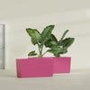 Panama Large Long Rectangle Fiberglass Planter - 36 in x 12 in x 18 in - Gloss Pink Violet - Gloss Pink Violet,36 in x 12 in x 18 in
