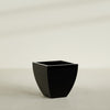 Lima Medium Tapered Square Fiberglass Planter - 24 in x 24 in x 24 in - Gloss Black - Gloss Black,24 in x 24 in x 24 in