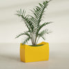 Seoul Large Curved Abstract Fiberglass Planter - 36 in x 16 in x 24 in - Gloss Saffron - Gloss Saffron,36 in x 16 in x 24 in