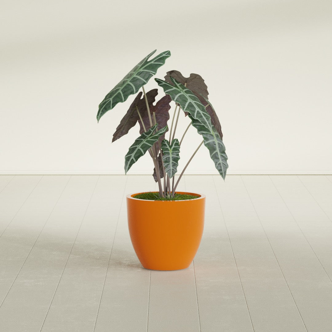 Wannsee Medium Round Fiberglass Planter - 22 in x 22 in x 19 in - Gloss Tangerine - Gloss Tangerine,22 in x 22 in x 19 in