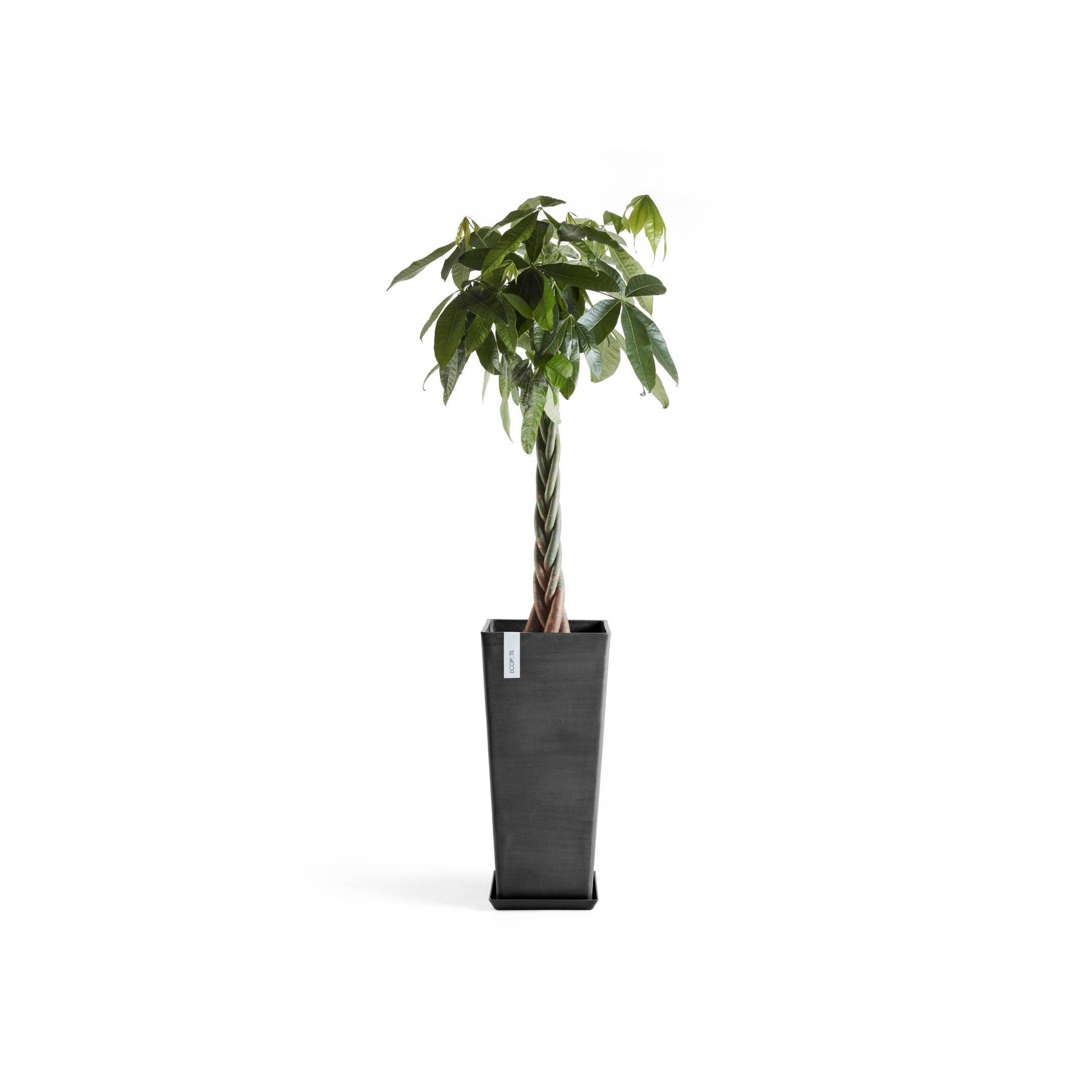 Rotterdam Medium Tall Square Planter - 12.6 in x 12.6 in x 27.5 in - Planter + Saucer - Dark Grey - Dark Grey,12.5 in x 12.5 in x 27.5 in,Planter + Saucer