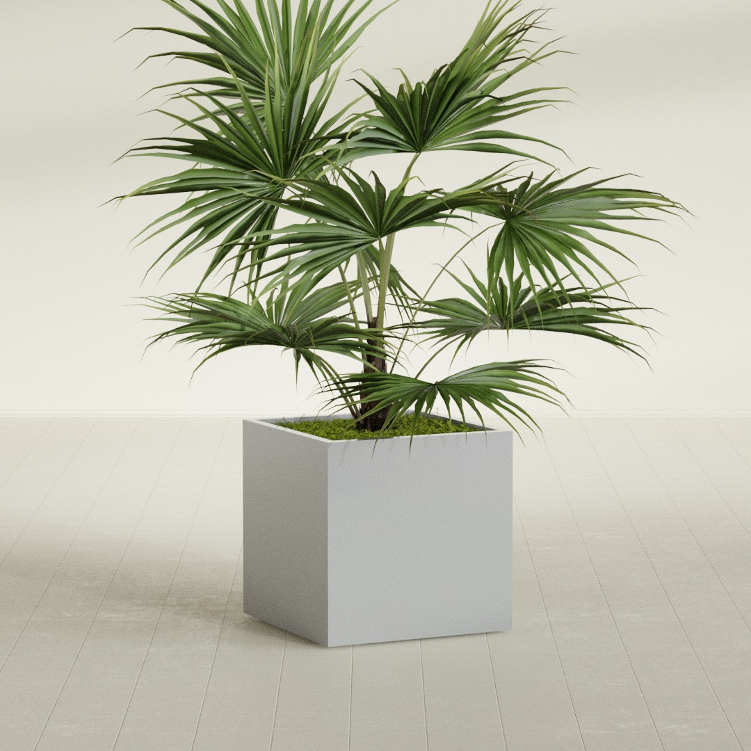 Montroy Medium Cube Square Fiberglass Planter - 28 in x 28 in x 28 in - Metallic Silver - Metallic Silver,28 in x 28 in x 28 in