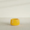 Short Hayden Small Round Fiberglass Planter - 12 in x 12 in x 7 in - Gloss Saffron - Gloss Saffron,12 in x 12 in x 7 in