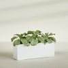Miami Extra Large Narrow Rectangle Fiberglass Planter - 48 in x 12 in x 18 in - Matte White - Matte White,48 in x 12 in x 18 in