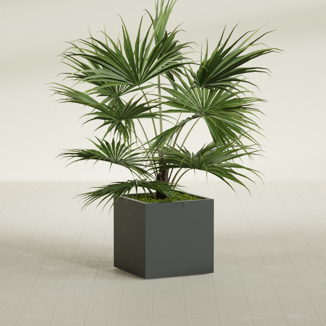 Montroy Medium Cube Square Fiberglass Planter - 24 in x 24 in x 24 in - Matte Charcoal - Matte Charcoal,24 in x 24 in x 24 in