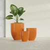 Valencia Large Round Fiberglass Planter - 27 in x 27 in x 31 in - Gloss Tangerine - Gloss Tangerine,27 in x 27 in x 31 in