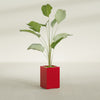 Tolga Medium Rectangle Fiberglass Planter - 16 in x 16 in x 24 in - Gloss Red - Gloss Red,16 in x 16 in x 24 in