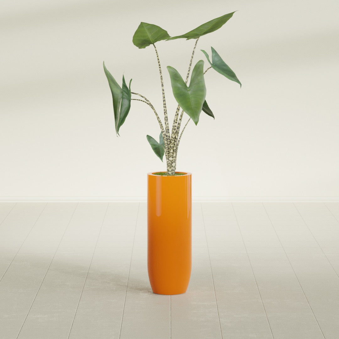 Saint Tropez Large Tall Round Fiberglass Planter - 12 in x 12 in x 32 in - Gloss Tangerine - Gloss Tangerine,12 in x 12 in x 32 in