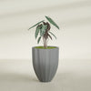Alicante Medium Round Fiberglass Planter - 22 in x 22 in x 27 in - Metallic Gunmetal - Metallic Gunmetal,22 in x 22 in x 27 in