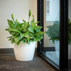 Harrison Small Round Plastic Planter - 13 in x 13 in x 11.6 in - Espresso Metallic - Espresso Metallic,13 in x 13 in x 11.6 in