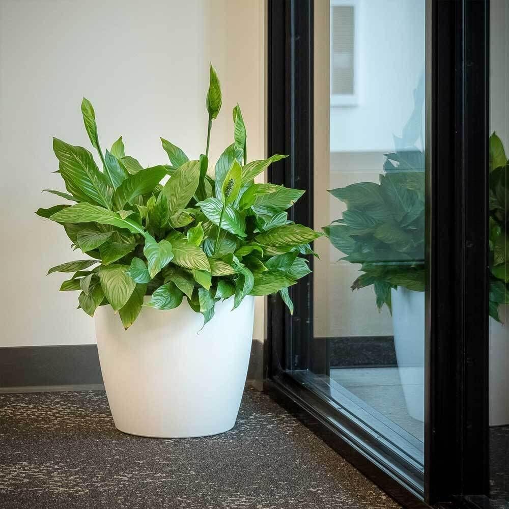 Harrison Small Round Plastic Planter - 13 in x 13 in x 11.6 in - Espresso Metallic - Espresso Metallic,13 in x 13 in x 11.6 in