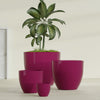 Wannsee Extra Large Round Fiberglass Planter - 50 in x 50 in x 44 in - Gloss Eggplant - Gloss Eggplant,50 in x 50 in x 44 in
