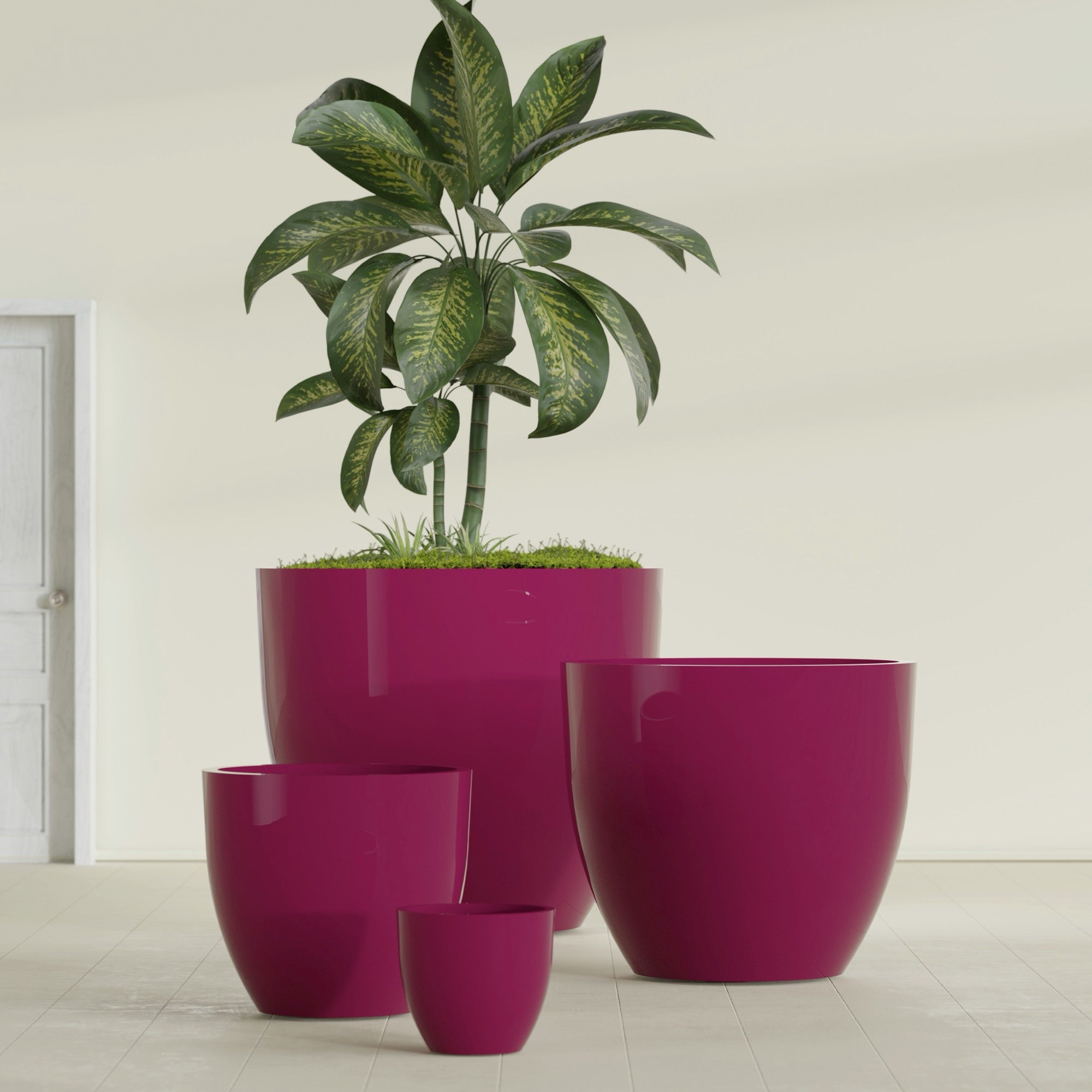 Wannsee Extra Large Round Fiberglass Planter - 50 in x 50 in x 44 in - Gloss Eggplant - Gloss Eggplant,50 in x 50 in x 44 in