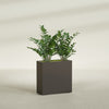 Milano Medium Narrow Rectangle Fiberglass Planter - 24 in x 10 in x 24 in - Matte Brown - Matte Brown,24 in x 10 in x 24 in