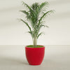 Wannsee Large Round Fiberglass Planter - 33 in x 33 in x 29 in - Gloss Red - Gloss Red,33 in x 33 in x 29 in