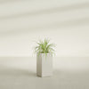 Hollywood Medium Rectangle Fiberglass Planter - 12 in x 12 in x 24 in - Satin Beige - Satin Beige,12 in x 12 in x 24 in
