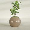 Globe Large Sphere Fiberglass Planter - 30 in x 30 in x 24 in - Metallic Gold - Metallic Gold,30 in x 30 in x 24 in