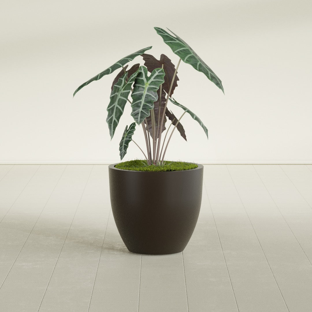 Wannsee Medium Round Fiberglass Planter - 27 in x 27 in x 24 in - Matte Brown - Matte Brown,27 in x 27 in x 24 in