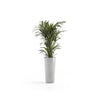 Amsterdam High Medium Tall Round Planter - 16 in x 16.25 in x 30 in - White Grey - White Grey,16 in x 16.25 in x 30 in,Planter Only