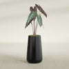 Saigon Large Tapered Round Planter - 14 in x 14 in x 30 in - Matte Black - Matte Black,13.7 in x 13.7 in 30 in