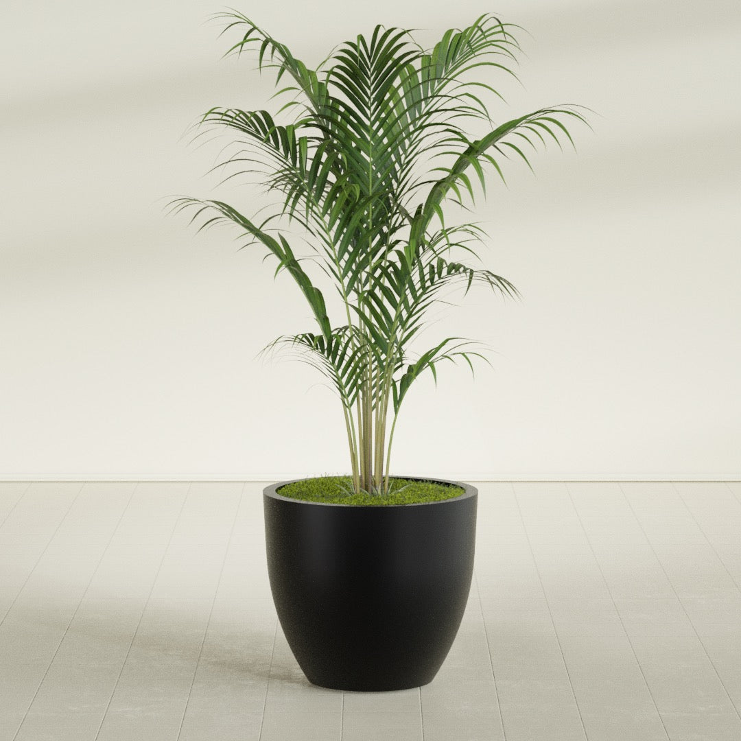 Wannsee Large Round Fiberglass Planter - 33 in x 33 in x 29 in - Matte Black - Matte Black,33 in x 33 in x 29 in