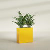Milano Medium Narrow Rectangle Fiberglass Planter - 24 in x 10 in x 24 in - Gloss Saffron - Gloss Saffron,24 in x 10 in x 24 in