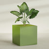 Montroy Extra Large Cube Square Fiberglass Planter - 60 in x 60 in x 60 in - Satin Green - Satin Green,60 in x 60 in x 60 in