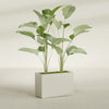 Tolga Large Rectangle Fiberglass Planter - 36 in x 16 in x 24 in - Satin Beige - Satin Beige,36 in x 16 in x 24 in