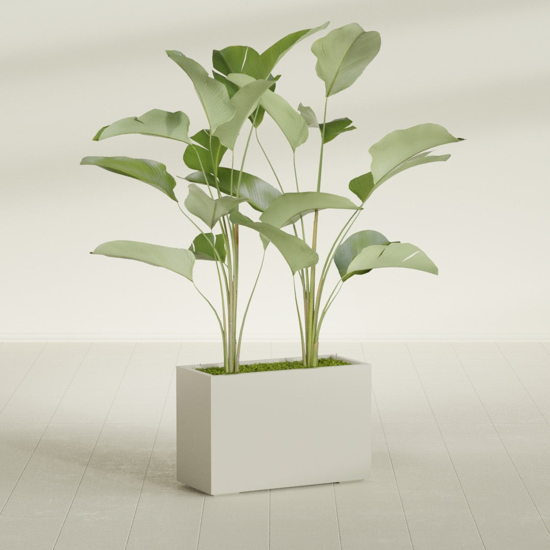 Tolga Large Rectangle Fiberglass Planter - 36 in x 16 in x 24 in - Satin Beige - Satin Beige,36 in x 16 in x 24 in