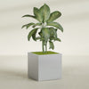 Montroy Large Cube Square Fiberglass Planter - 36 in x 36 in x 36 in - Metallic Silver - Metallic Silver,36 in x 36 in x 36 in