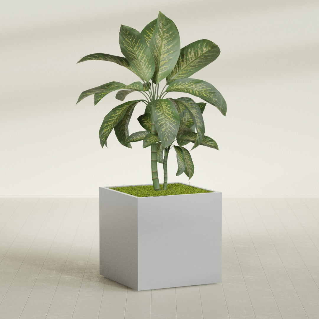 Montroy Large Cube Square Fiberglass Planter - 36 in x 36 in x 36 in - Metallic Silver - Metallic Silver,36 in x 36 in x 36 in