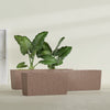 Tapered Rectangle - 48in x 12in x 18in - StoneLight - Sunstone - StoneLight - Sunstone,48 in x 12 in x 18 in
