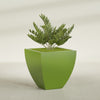 Lima Large Tapered Square Fiberglass Planter - 30 in x 30 in x 30 in - Satin Green - Satin Green,30 in x 30 in x 30 in
