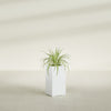 Hollywood Medium Rectangle Fiberglass Planter - 12 in x 12 in x 24 in - Matte White - Matte White,12 in x 12 in x 24 in