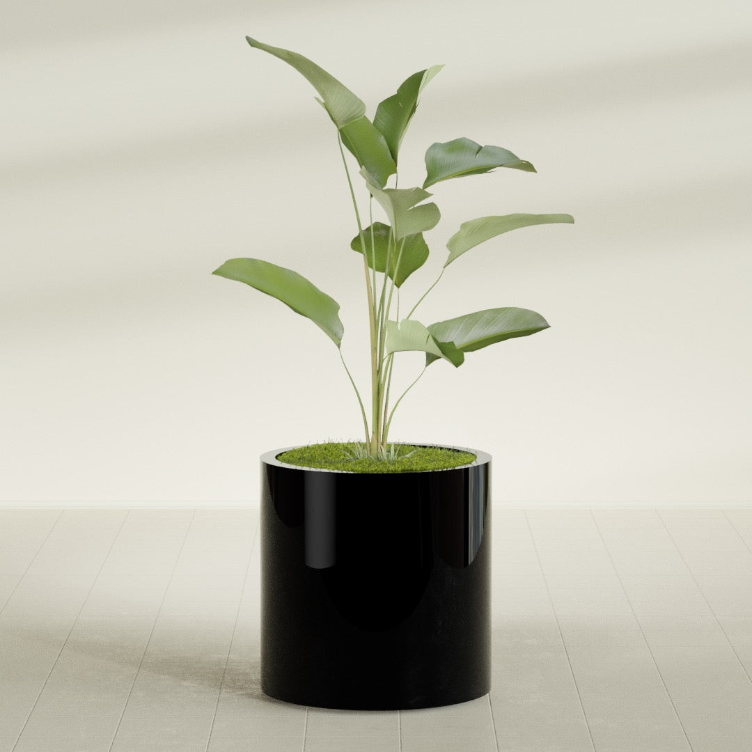 Rio Grande Medium Round Fiberglass Planter - 22 in x 22 in x 22 in - Gloss Black - Gloss Black,22 in x 22 in x 22 in